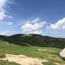 서당골목장 이미지