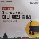 교촌치킨진주