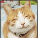 27 당구클럽 이미지