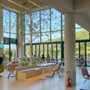 베툴라 자작나무숲 펜션 이미지