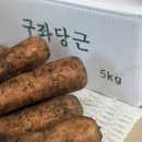 수현농장 | 구좌당근 제주가볼만한곳 [제주향기 효동이네감귤(당근)] 추천지