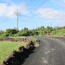 제주 올레길 13코스 이미지