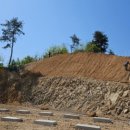 서대산로 이미지