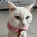 명덕동물병원 이미지