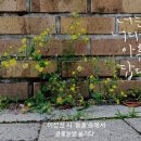 시월어느날