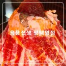 평택역 용용선생 | 평택역 박애병원 술집 추천 용용선생 평택역점