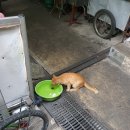 왓포샵 네이버블로그
