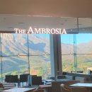 더엠브로시아 이미지