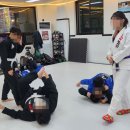 주짓수 | 천안 주짓수 스트레스 풀기 좋고 분위기도 좋은 팀레드비 우리주짓수 후기