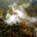 성곡주유소 이미지