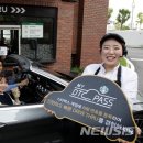 디티코리아 이미지