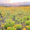 영덕 블루로드 민박 이미지