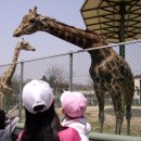 전주동물원 이미지