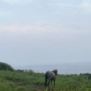 고성돼지국밥 이미지