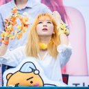 귤곰 이미지