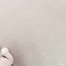 효성세탁 | 반려견 친환경 미끄럼 방지매트- 셀프시공 가능한 효성스완 홈카페트타일