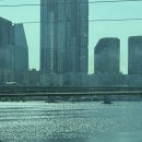 서울 여행 숙소 / 종로 호텔 추천 쾌적했던 호텔어라이브 서울플