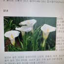 [미사의 모든 것] (10) 참회 예식 미사를 시작하며 잘못 뉘우치고 주님께로 돌아서다 이미지