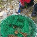 중부소방서 태화119안전센터 이미지