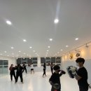 팀혼종합격투기 - 창원시 마산회원구 삼계5길 21 | 팀혼종합격투기