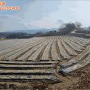 고평마을회관 이미지