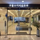 코뿔소이비인후과 | [대전/탄방동] 대전 코뿔소이비인후과 주말 오픈런 후기 / +성심당 롯데 오픈런