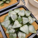 지양농장 이미지