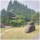 초이지아 | 하동섬진강펜션 자연 속 힐링, 초이지아 펜션 후기