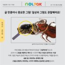 해오름미술
