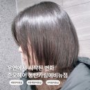 중화문고 | [동탄 미용실] 준오헤어 동탄카림애비뉴점 우연 디자이너쌤에게 매직펌 테슬컷 받고 온 후기