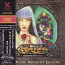 Symphony X - The Divine Wings of Tragedy 이미지