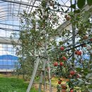 볼빨간한우 이미지