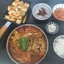 멍냥이의 하루