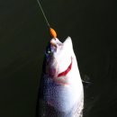 한터낚시터 이미지