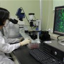 (주)강스템바이오텍 이미지