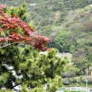 구봉산 가는길 이미지