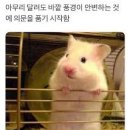 일생청춘