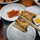 낙동강장어 이미지