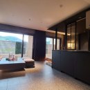 펫 클럽 이미지