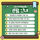 창의수학교실(토요가족체험교실) 이미지