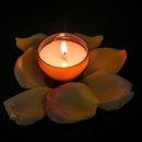 케이제이더블유 이미지