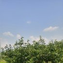 홍재농장 이미지