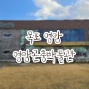영주 인문학 | [영암/ 영암곤충박물관] 아이랑 파충류체험 하기! 영암곤충박물관