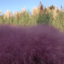 (주)선화정비 이미지