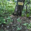 인천무형문화재전수교육관 앞 이미지