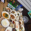 황금돼지한상통술