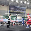 복싱메카 이미지