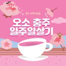 오소(O,SO) | 충주 여행지원금 오소 충주 일주일살기 신청방법과 다양한 3월여행 지원 혜택 후기 총정리