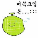 스테이오힐 이미지