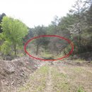 명지산주유소 이미지